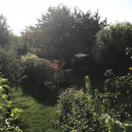 Fewo In Sonniger Lage In Sagard Exterior foto