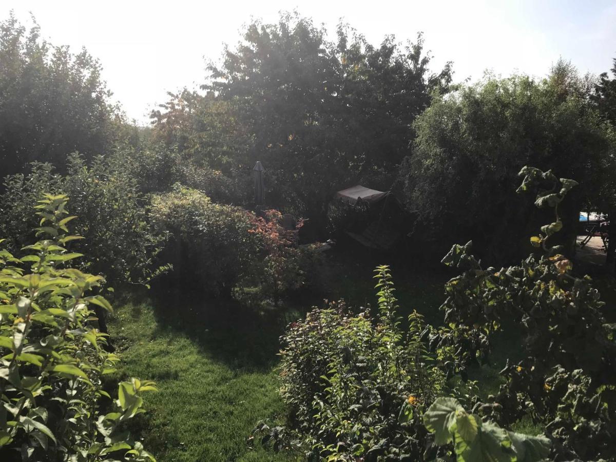 Fewo In Sonniger Lage In Sagard Exterior foto